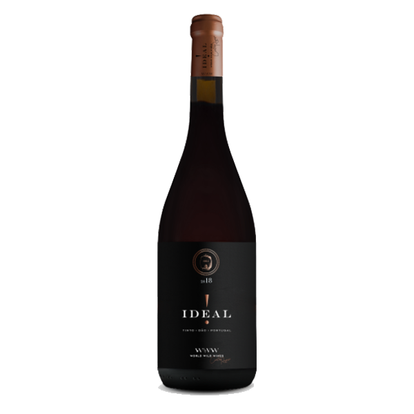 IDEAL Tinto 2018