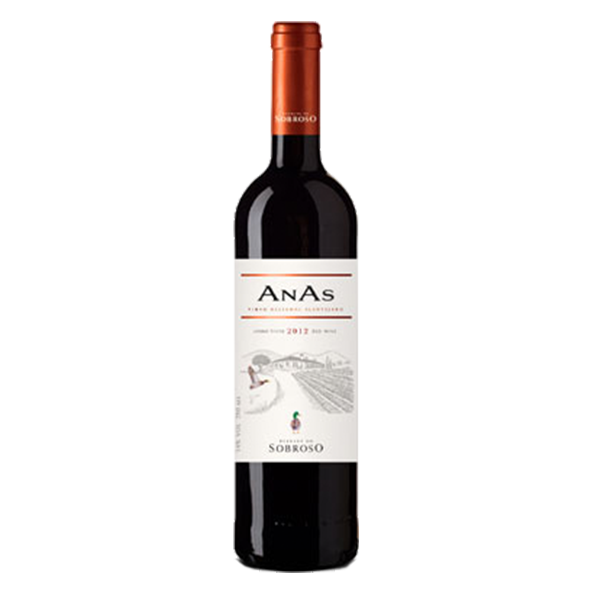 Anas Tinto 2015/16